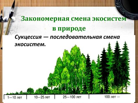 индикаторы устойчивости лесных экосистем